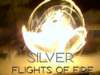 silverflightsoffire1_small.jpg
